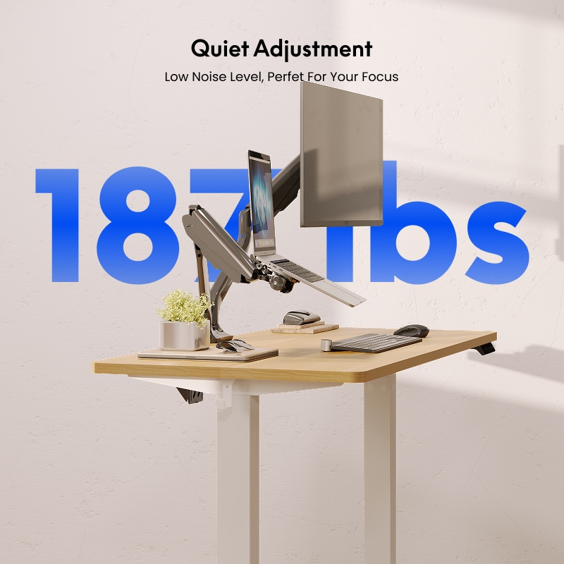 Rectangular Electric Height Adjustable Standing Desk | FlexiSpot